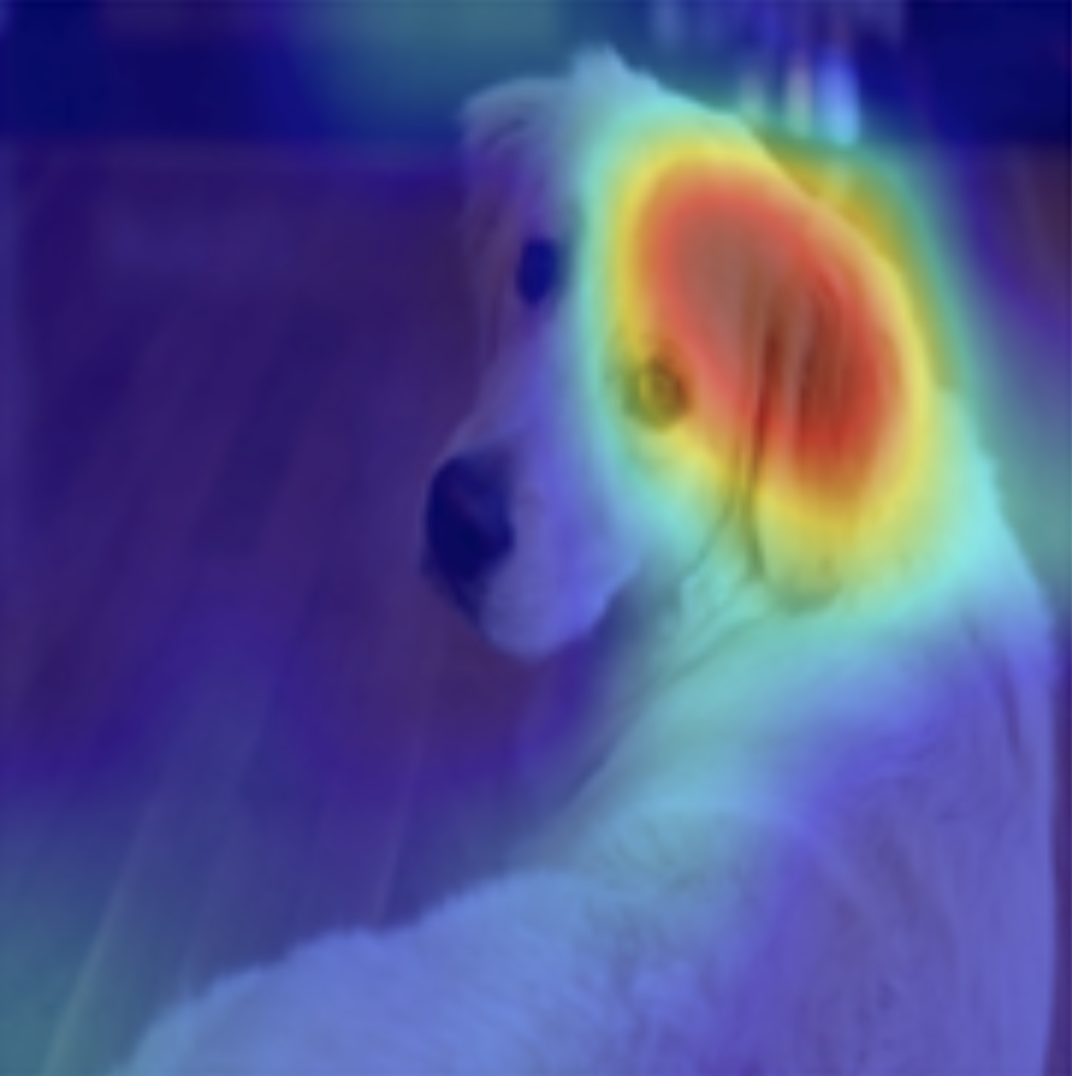 Explainability heatmap overlay